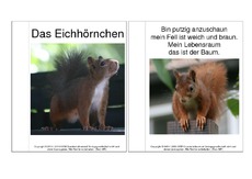 Mini-Buch-Eichhörnchen-Gedicht-Fotos.pdf
